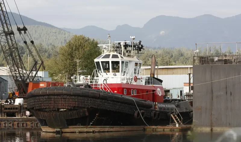 SEASPAN RESOLUTION General Cargo IMO 9537147