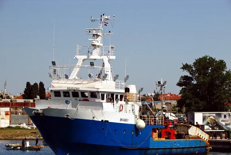 SIN KALI I General Cargo IMO 9537393