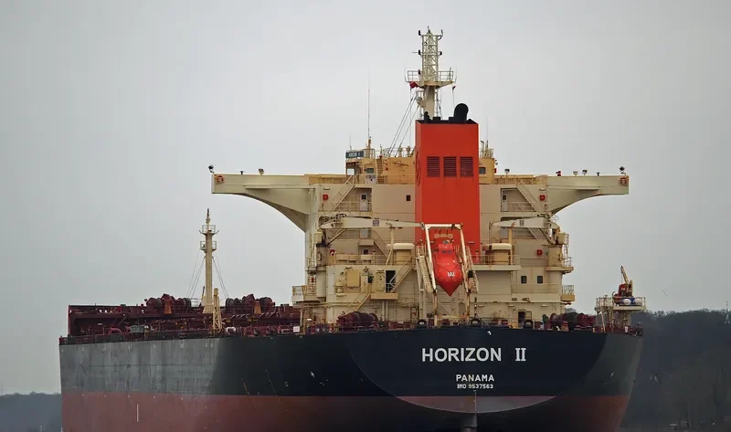 HORIZON II Bulk Carrier IMO 9537563 photo 2