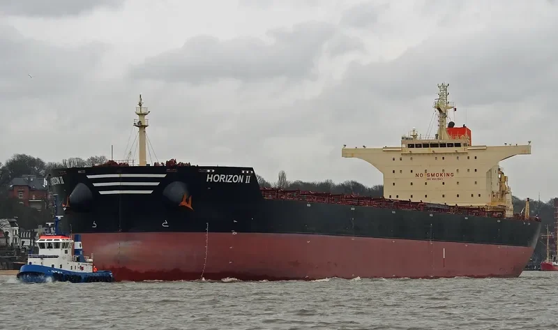 HORIZON II Bulk Carrier IMO 9537563 photo 3