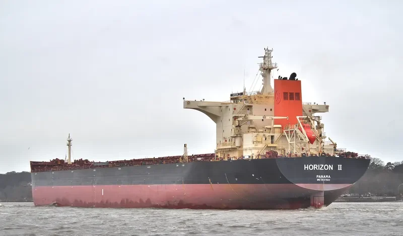 HORIZON II Bulk Carrier IMO 9537563 photo 9