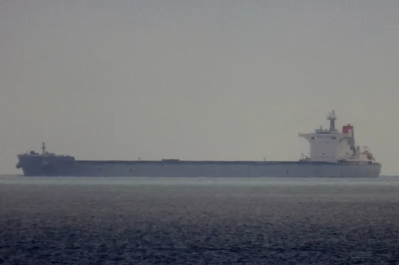 JSW SALEM Bulk Carrier IMO 9537721 photo 3