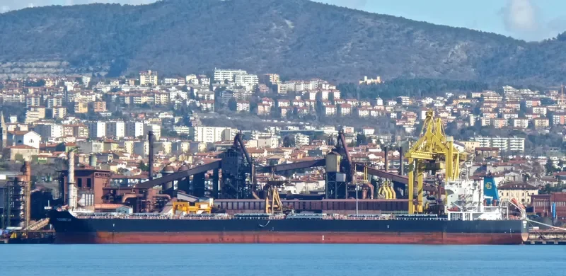 GLEAMSTAR Bulk Carrier IMO 9537733 photo 8
