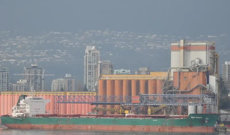 CONRAD OLDENDORFF Bulk Carrier IMO 9537903 photo 6