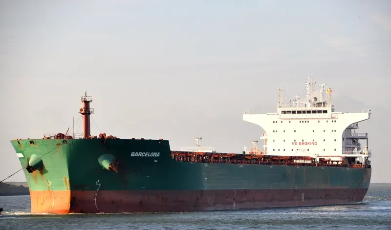 JUPITER N Bulk Carrier IMO 9537915 photo 10