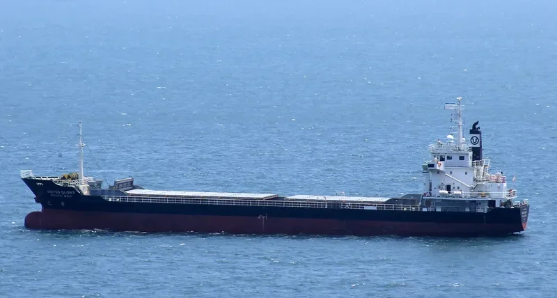 WOOYANG GLORY General Cargo IMO 9538256 photo 2