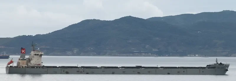 CAPE JASMINE Bulk Carrier IMO 9538751 photo 5