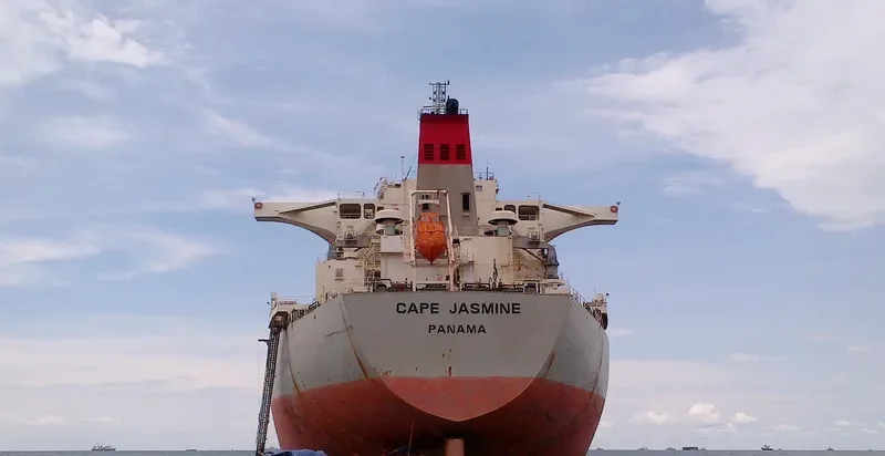 CAPE JASMINE Bulk Carrier IMO 9538751 photo 7