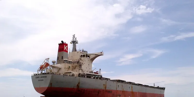 CAPE JASMINE Bulk Carrier IMO 9538751 photo 9
