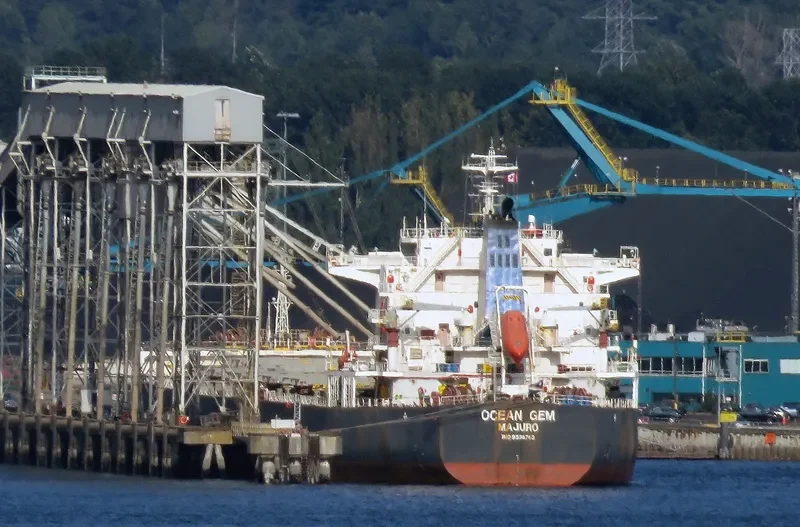 OCEAN GEM Bulk Carrier IMO 9538763