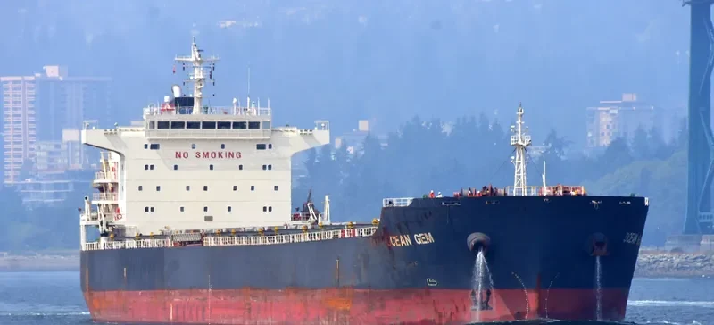 OCEAN GEM Bulk Carrier IMO 9538763 photo 2