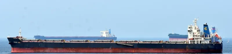 OCEAN GEM Bulk Carrier IMO 9538763 photo 5