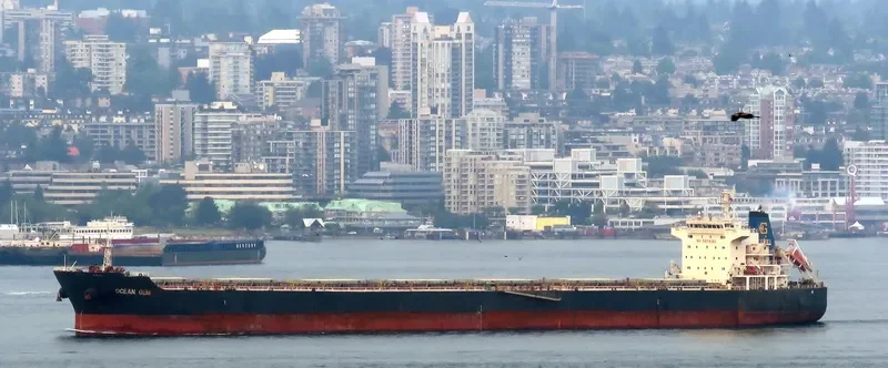 OCEAN GEM Bulk Carrier IMO 9538763 photo 6