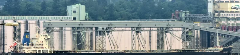 OCEAN GEM Bulk Carrier IMO 9538763 photo 7