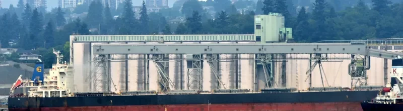OCEAN GEM Bulk Carrier IMO 9538763 photo 8