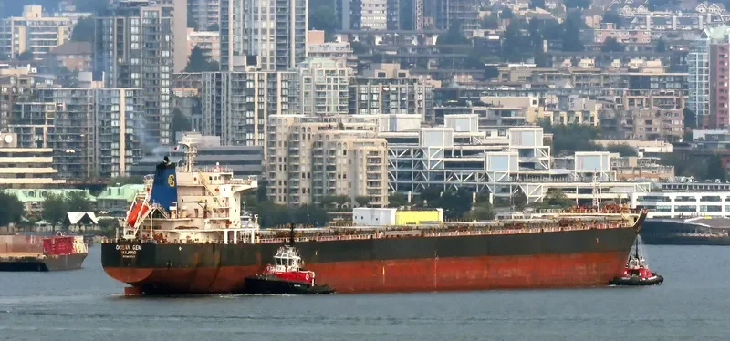 OCEAN GEM Bulk Carrier IMO 9538763 photo 9