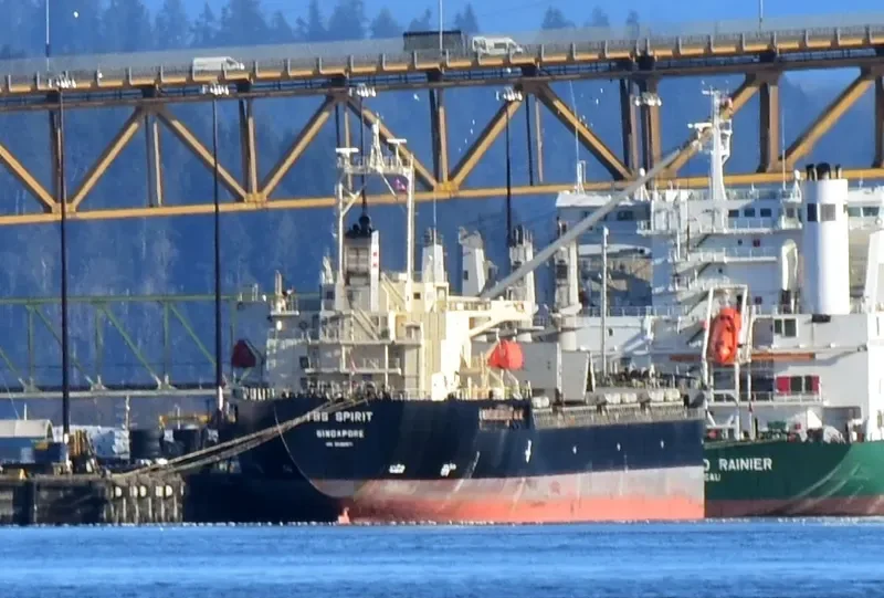 KEN SPIRIT Bulk Carrier IMO 9538971 photo 6