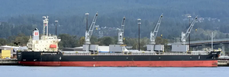 KEN SPIRIT Bulk Carrier IMO 9538971 photo 10
