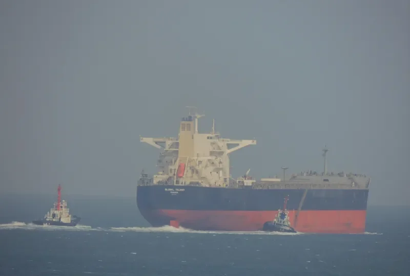 GLOBAL TALENT Bulk Carrier IMO 9539107 photo 2