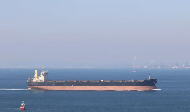 GLOBAL TALENT Bulk Carrier IMO 9539107 photo 4