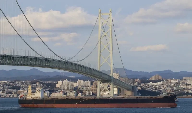 GLOBAL TALENT Bulk Carrier IMO 9539107 photo 6