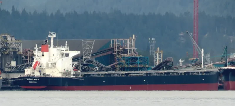 BUENOS AIRES Bulk Carrier IMO 9539248 photo 3