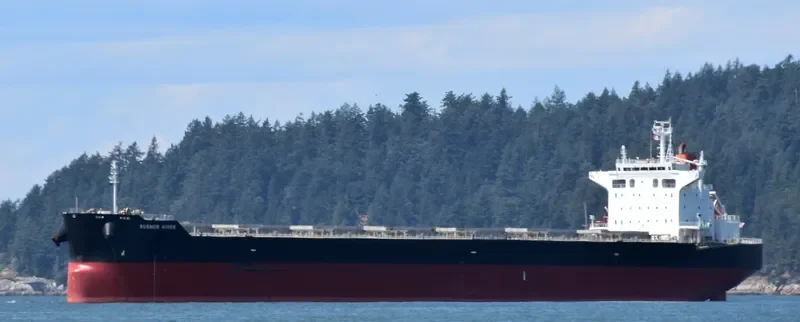 BUENOS AIRES Bulk Carrier IMO 9539248 photo 7