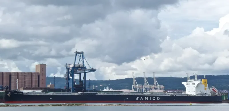 CIELO D ITALIA Bulk Carrier IMO 9539274 photo 6