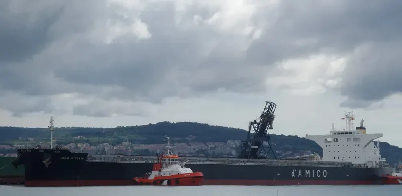 CIELO D ITALIA Bulk Carrier IMO 9539274 photo 7