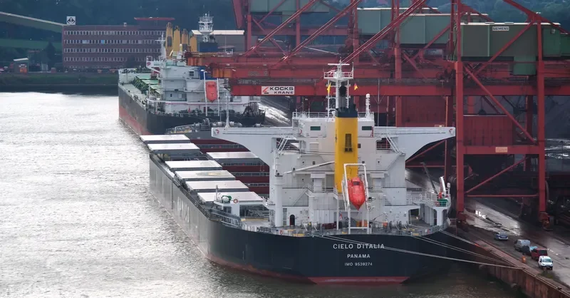 CIELO D ITALIA Bulk Carrier IMO 9539274 photo 9