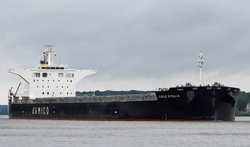 CIELO D ITALIA Bulk Carrier IMO 9539274 photo 10