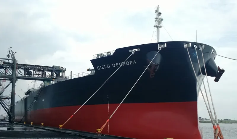 CIELO D EUROPA Bulk Carrier IMO 9539286 photo 6