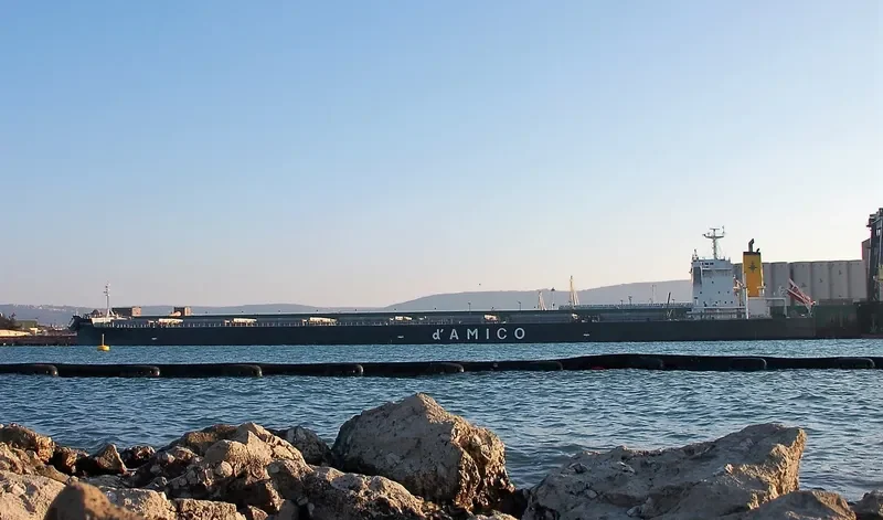 CIELO D EUROPA Bulk Carrier IMO 9539286 photo 8