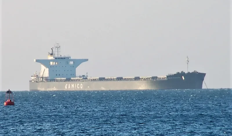 CIELO D EUROPA Bulk Carrier IMO 9539286 photo 9