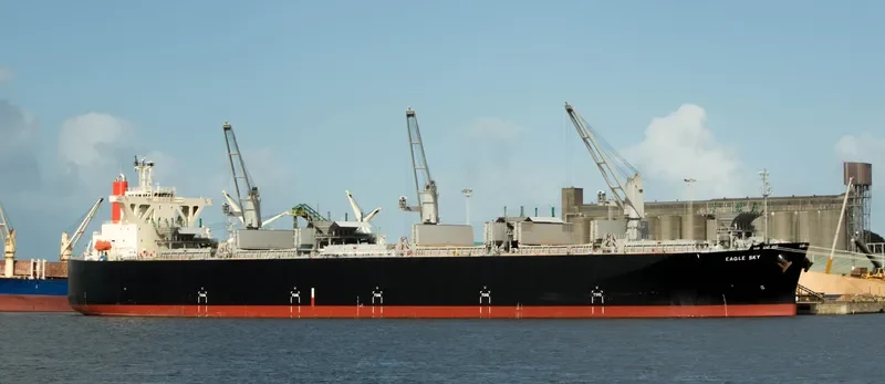 EAGLE SKY Bulk Carrier IMO 9539298 photo 8