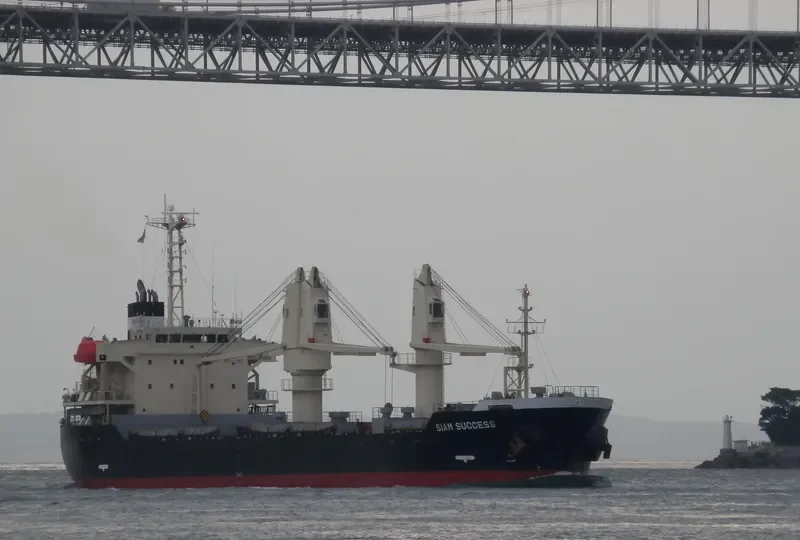 ADAVEGA Bulk Carrier IMO 9539339