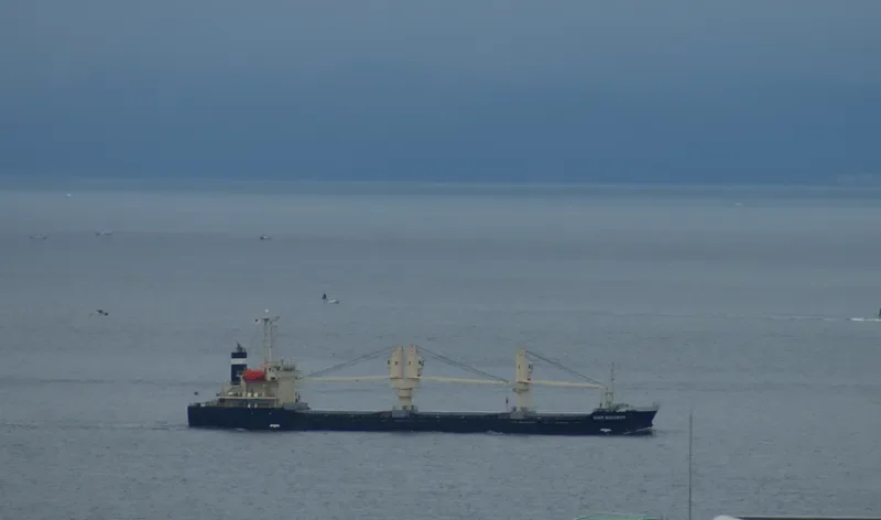 ADAVEGA Bulk Carrier IMO 9539339 photo 6