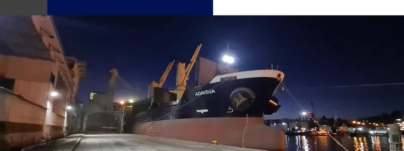 ADAVEGA Bulk Carrier IMO 9539339 photo 9