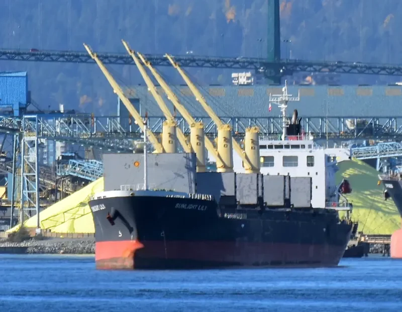 TEAM BRAVO Bulk Carrier IMO 9539341