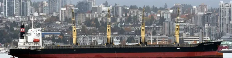 TEAM BRAVO Bulk Carrier IMO 9539341 photo 2