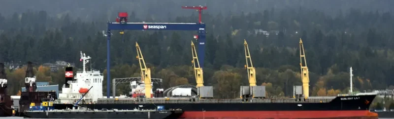 TEAM BRAVO Bulk Carrier IMO 9539341 photo 5