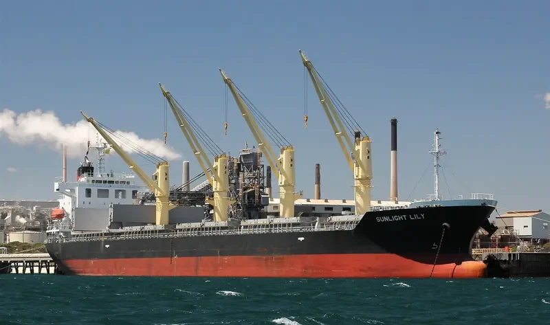TEAM BRAVO Bulk Carrier IMO 9539341 photo 7