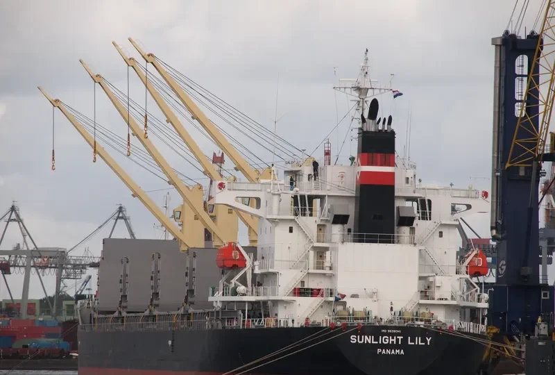 TEAM BRAVO Bulk Carrier IMO 9539341 photo 8