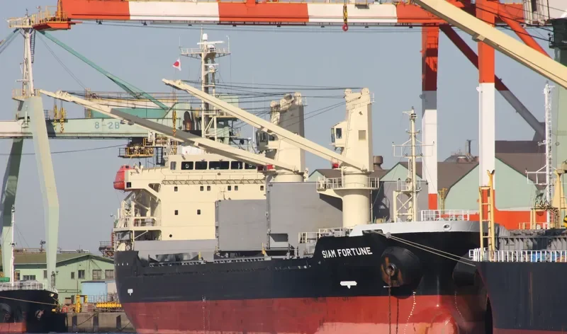 ADAPEARL Bulk Carrier IMO 9539432