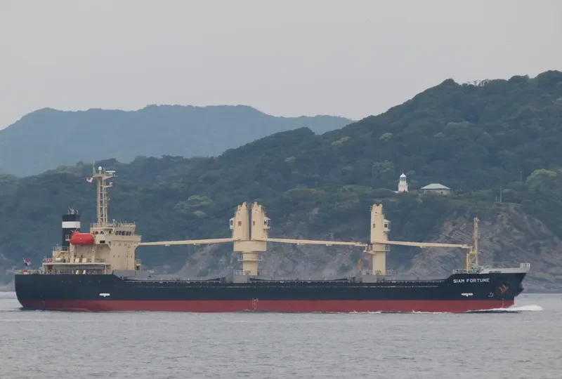 ADAPEARL Bulk Carrier IMO 9539432 photo 2