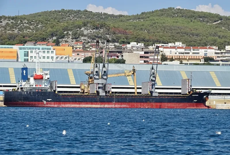 ADAPEARL Bulk Carrier IMO 9539432 photo 3