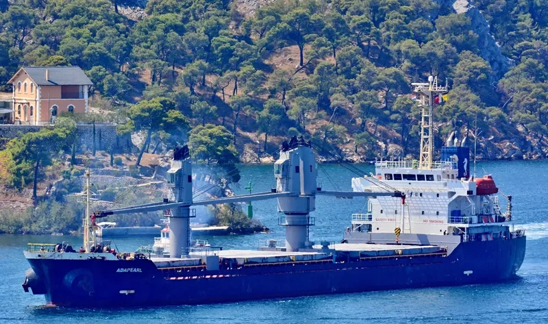 ADAPEARL Bulk Carrier IMO 9539432 photo 5