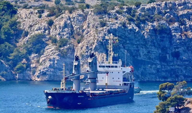ADAPEARL Bulk Carrier IMO 9539432 photo 6