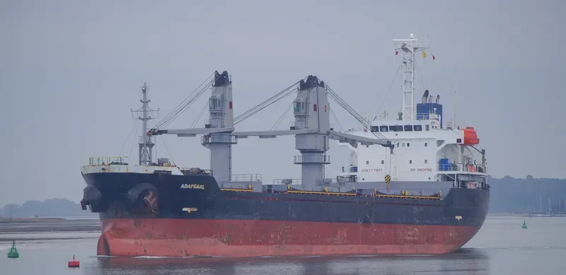 ADAPEARL Bulk Carrier IMO 9539432 photo 7