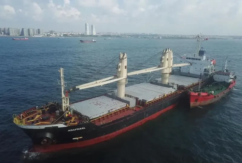ADAPEARL Bulk Carrier IMO 9539432 photo 8